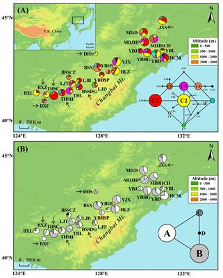 Recent Fragmentation May Not Alter Genetic Patterns in Endangered Long-Lived Species: Evidence From Taxus cuspidata